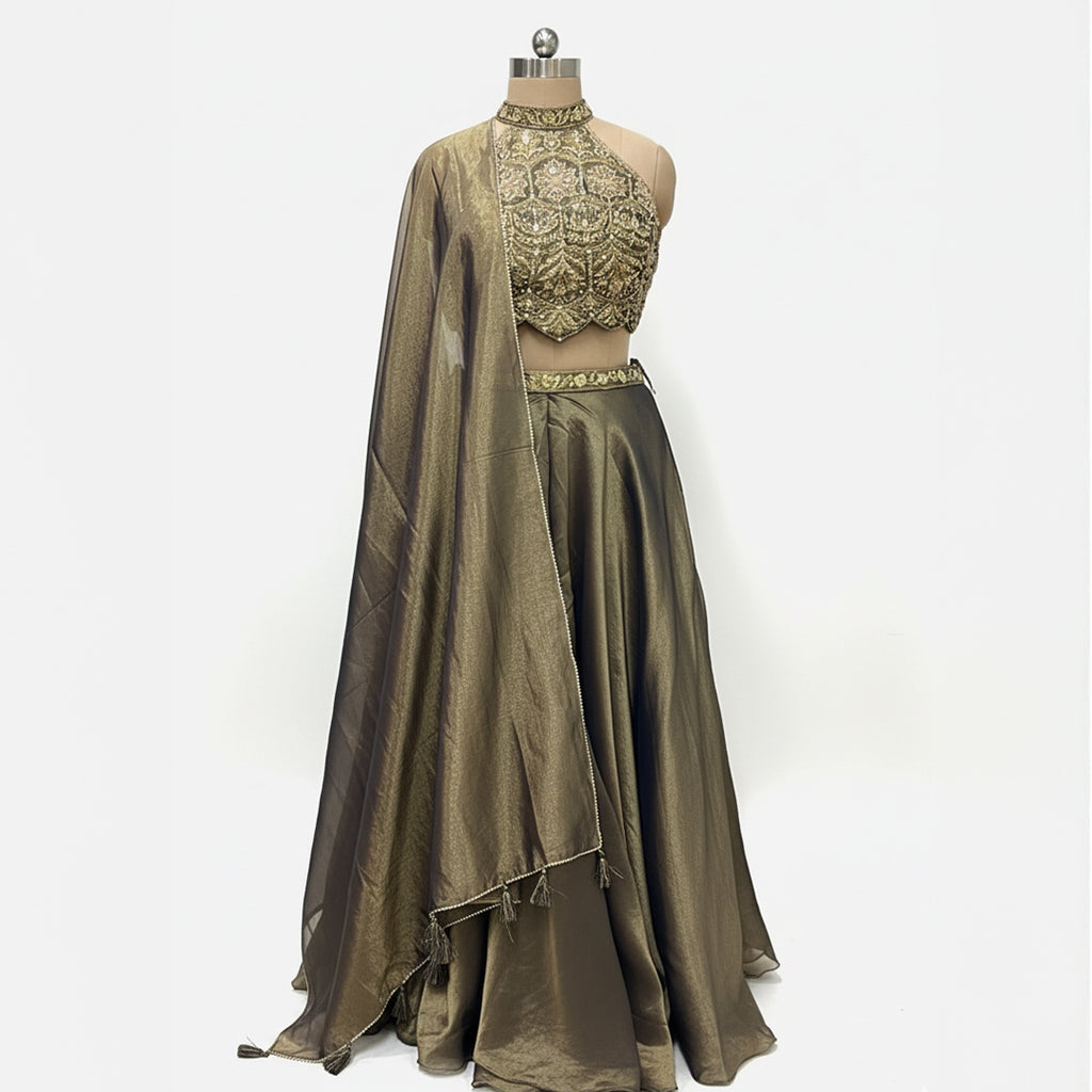 A stunning full-length traditional outfit in a soft green and golden tone.

This ensemble features a heavily embellished, modern neck design, sleeveless top and a voluminous, flowing skirt. It is completed with a coordinating draped scarf.&nbsp;

The look is suitable for formal events and celebrations, offering a sophisticated and festive aesthetic